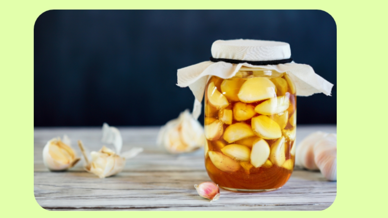 Honey Fermented Garlic Benefits