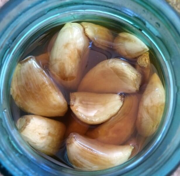 honey fermented garlic benefits