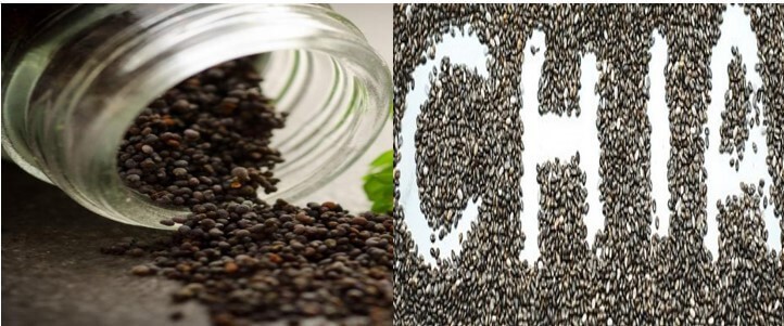 chia seeds vs sabja seeds benefits 