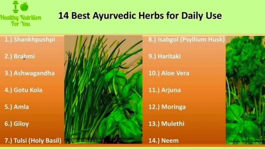 Best Ayurvedic Herbs for Daily Use