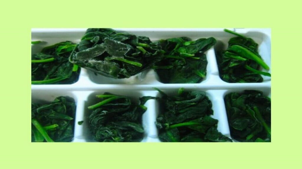 Dos and Don'ts of freezing herbs