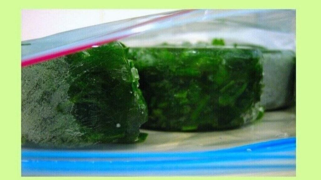 Can You Freeze Fresh Herbs