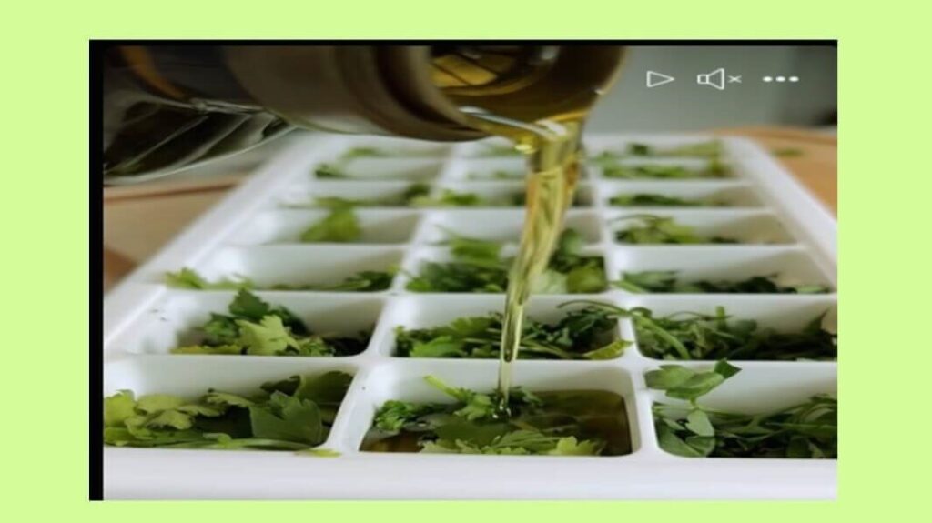Can you freeze fresh herbs in oil