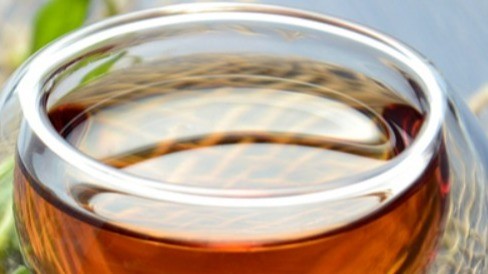 Oregano herb tea benefits